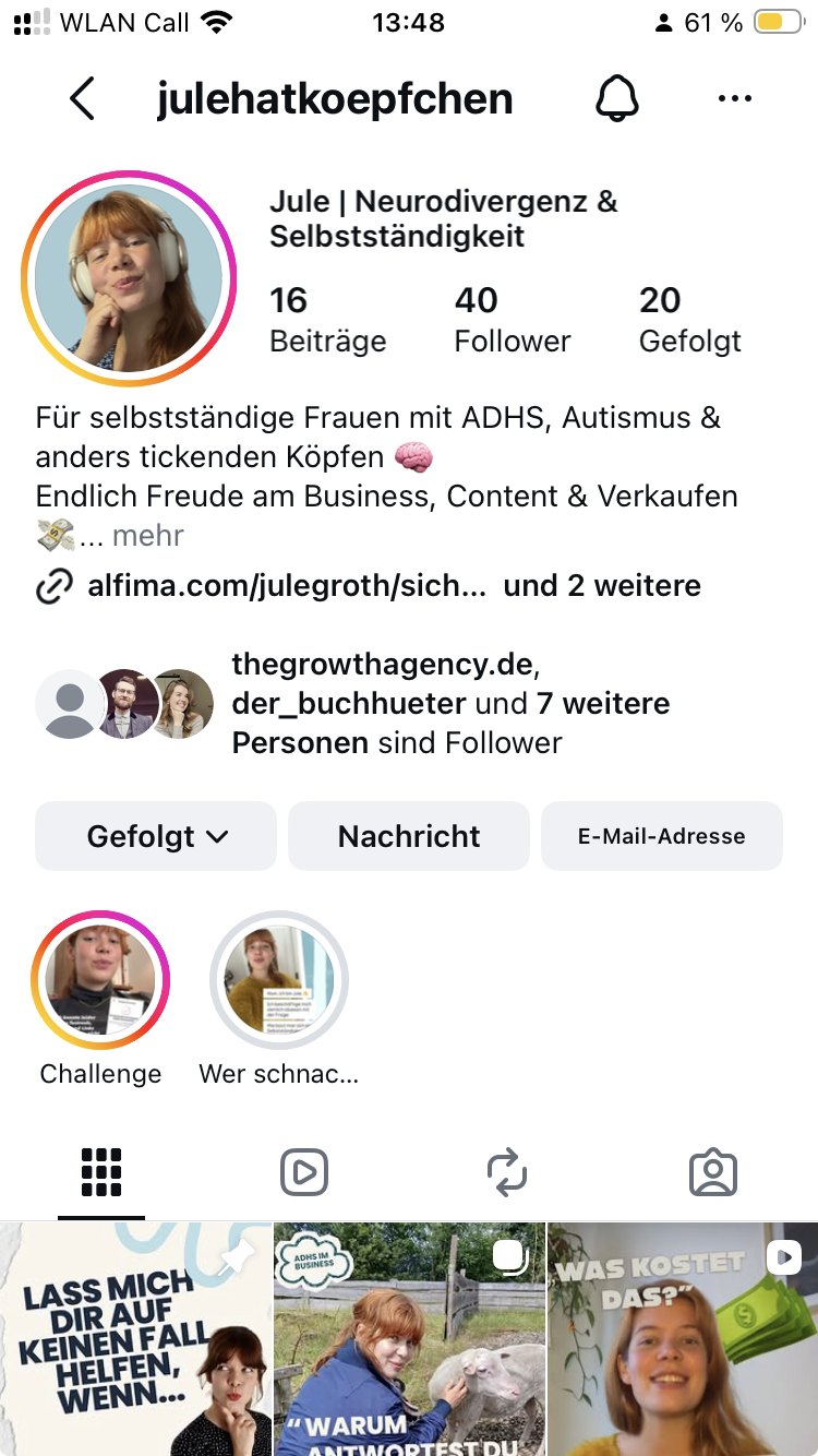 Screenshot von Jules Instagram-Profil mit Bio, Highlights und Beiträgen